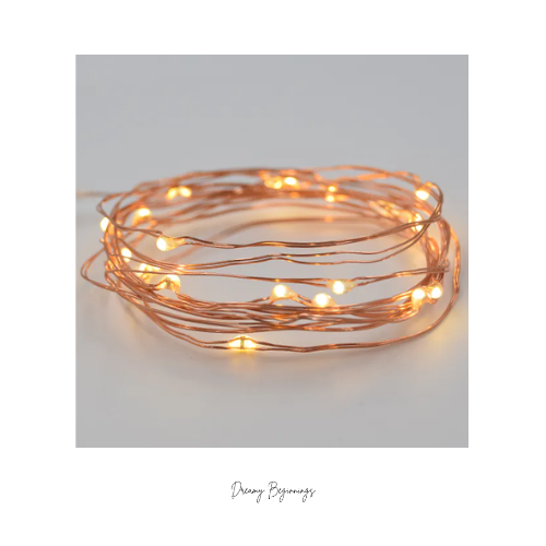 3m Copper Wired Fairy Lights (Warm White)